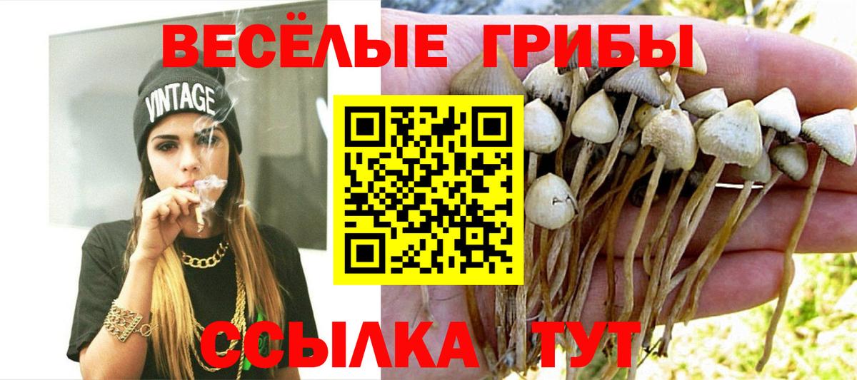 Псилоцибиновые грибы мицелий Балашиха