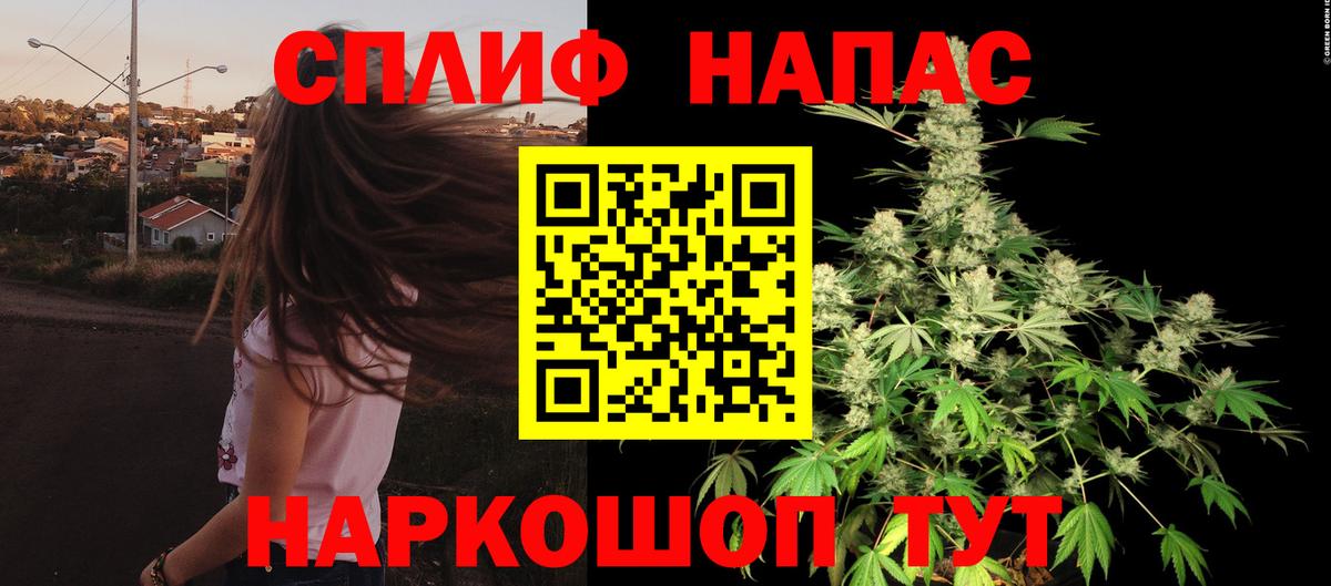 Каннабис сатива Балашиха